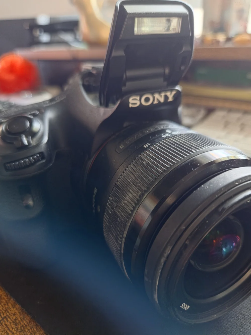 Sony Black DSLR Camera with Built-in Flash